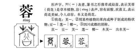 蓉名字意思|蓉字的寓意和象征